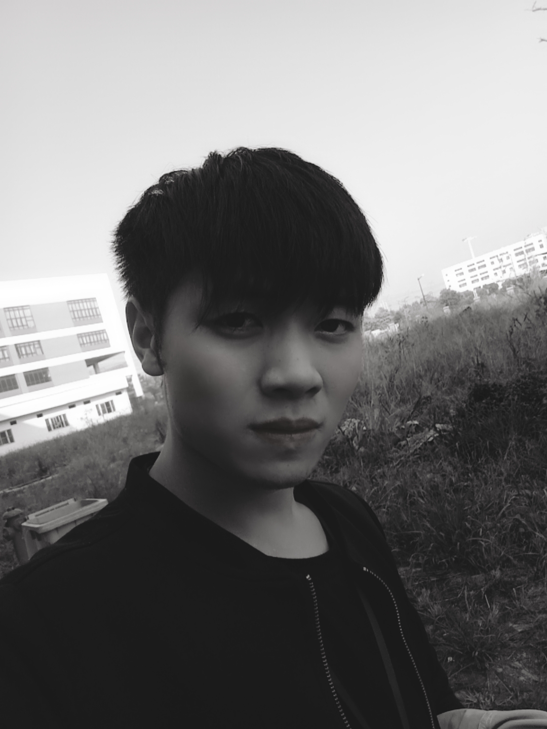 图片4